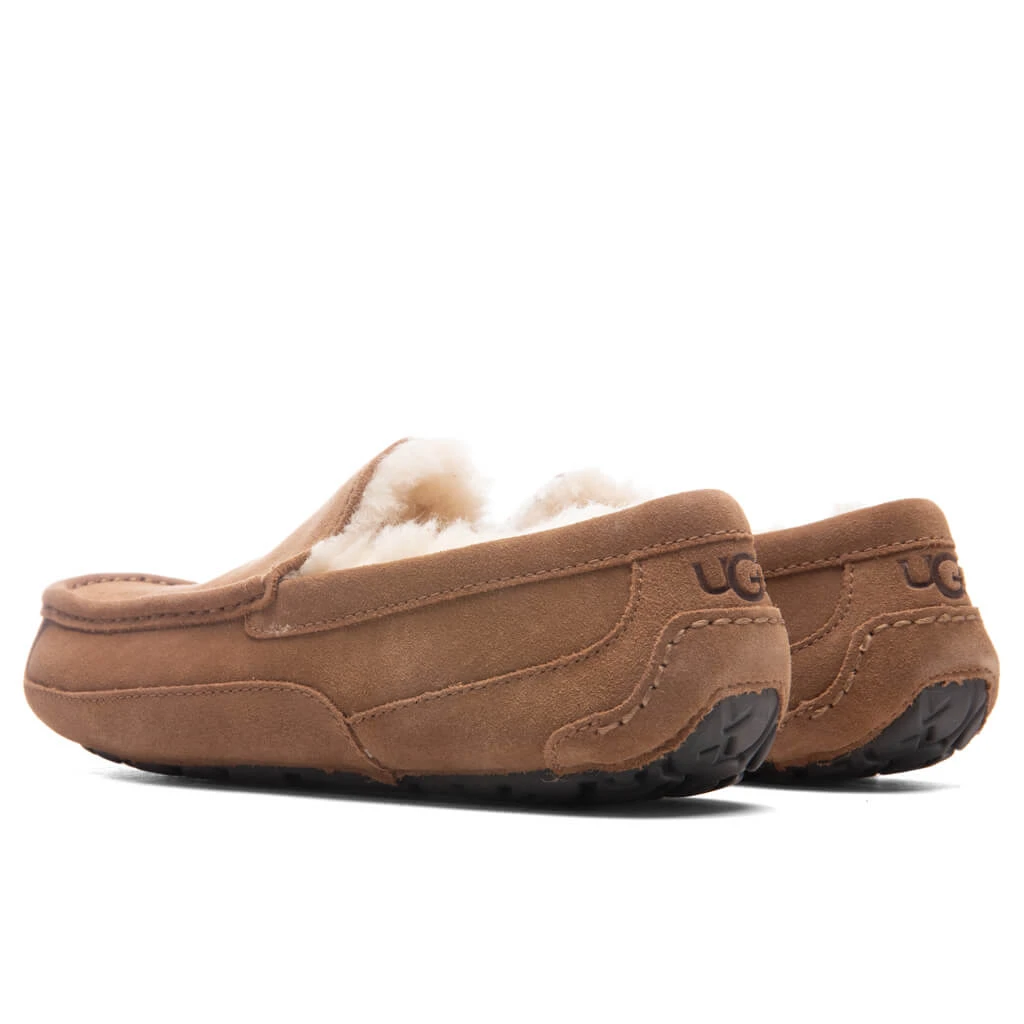 Ugg Ascot Slipper - Chestnut - Image 3